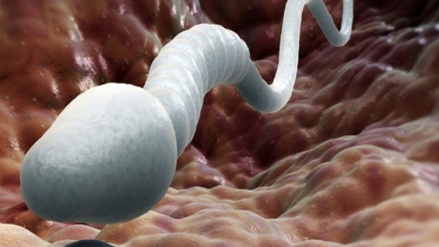 Uomini fertili in diminuzione: la causa &egrave; dei cellulari, eccone il motivo
