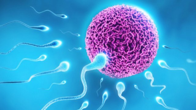 Uomini sempre meno fertili: &egrave; colpa anche dei cellulari