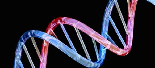 Febrero: un rayo de luz para las enfermedades raras