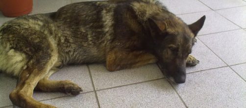 La depresi&oacute;n es un signo caracter&iacute;stico inicial de la enfermedad