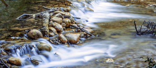 Water is the most resource for our environment. - [Image Courtesy Pixabay]