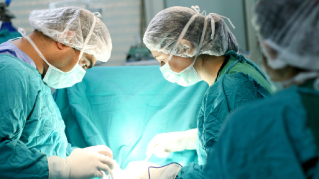 Chirurgia vascolare, giornata scientifica di aggiornamento.