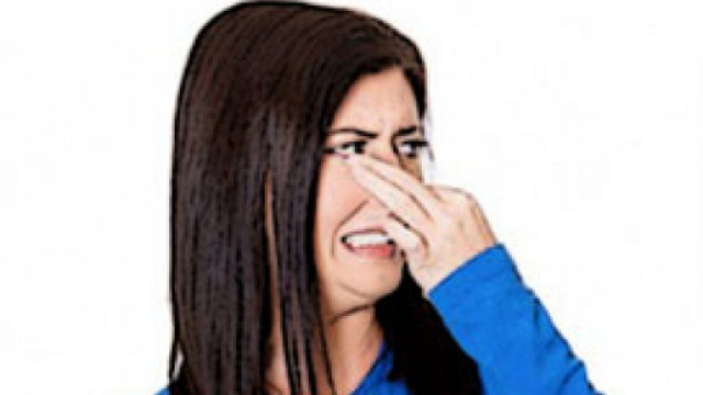 CIBO E URINA DI ANIMALI: ECCO I CATTIVI ODORI CHE FANNO LITIGARE I ... - quotidianodelcondominio.it