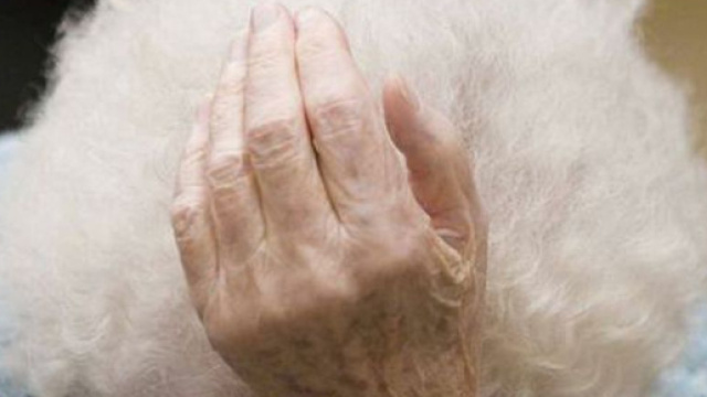 Rapinano e picchiano un'anziana donna: due arrestati - cataniatoday.it