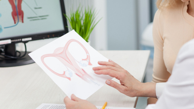 Chirurgia plastica vaginale: l'aumento del 50%