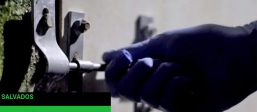 El programa Salvados se moja una vez m&aacute;s con una de las empresas m&aacute;s influyente en el mundo, la c&aacute;rnica.