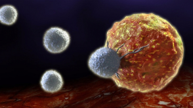 Le sane abitudini allontanano il rischio di cancro. In occasione della Giornata mondiale contro il cancro le 12 regole d'oro per la prevenzione