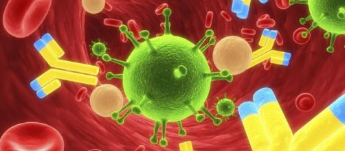 Sistema inmune nuestro ej&eacute;rcito particular