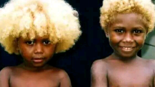 Les Salomoniens, unique peuple noir aux cheveux blonds (cr&eacute;dit photo : Google images)