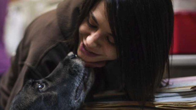 Usa, cane scompare e torna a casa dopo 10 anni