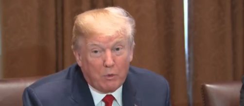 Donald Trump on immigration, via Twitter