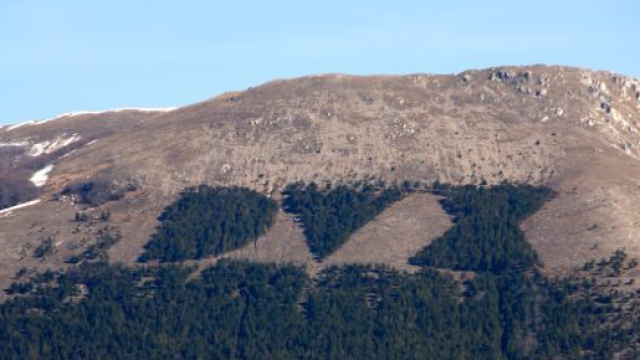 Parte della scritta fu cancellata ripopolando la parte bassa del bosco