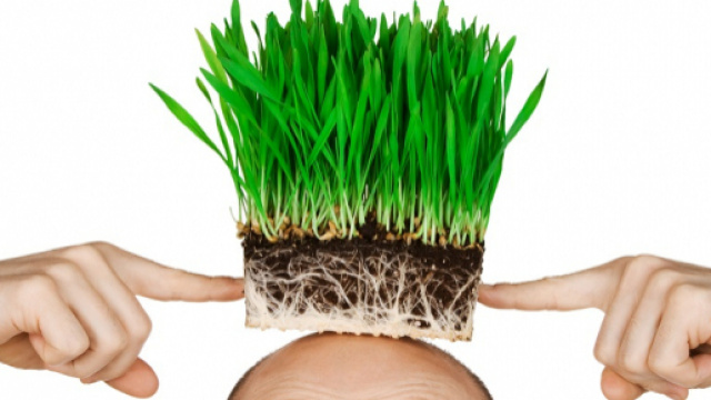 L'olio delle patatine fritte potrebbe aiutare a combattere la calvizie - improntaunika.it