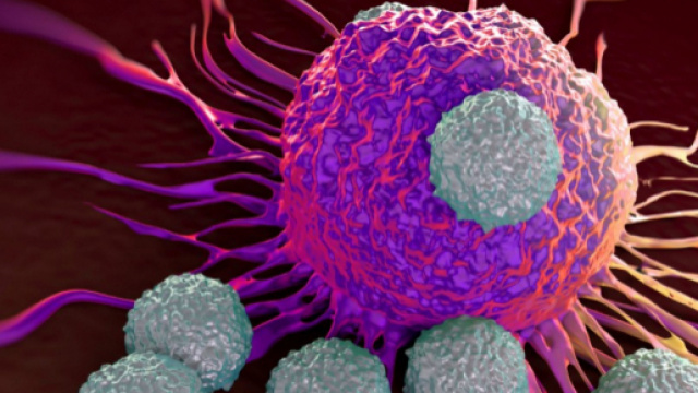 Esiste un crostaceo che si riproduce come i tumori