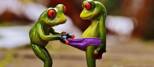 6 Valentine's Day gifs - Image via Pixabay ... - pixabay.com