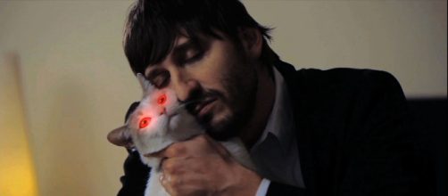 Nicholas Tana is the creator of 'Hell's Kitty' which is about his own poorly-behaved feline./ Image via Clint Morris, October Coast PR.