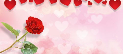 Singles don't have to do anything on February 14. - [Image via Capri23auto Pixabay]