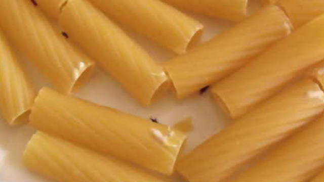 Parassiti nella pasta servita a scuola: l'Asl impone delle ... - brindisireport.it