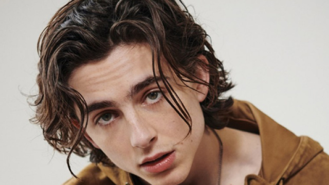 Timoth&eacute;e Chalamet Says He Was Rejected From 'Bigger' Projects ... - etonline.com