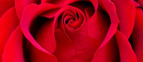 Spoilers about 'The Bachelorette' [image via: Public Domain Files]