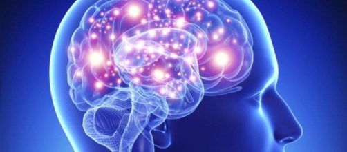 Mejor suplemento para tu cerebro