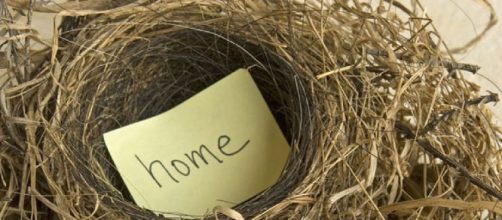 nido vac&iacute;o': cuando tus hijos se van de casa - elportaldelhombre.com