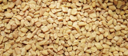 El fenogreco o alholva puedes prepararlo de m&uacute;ltiples formas: en ensalada, como guarnici&oacute;n, en infusi&oacute;n, leche vegetal, harina o cataplasma