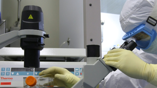 Disease X potrebbe generare un'epidemia globale