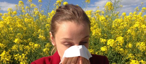 &iquest;Sabes qu&eacute; tipo de antihistam&iacute;nicos son los que causan alteraciones en el apetito?