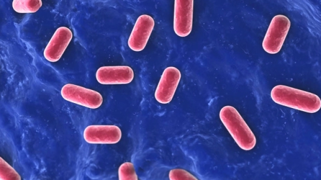 L'assunzione di probiotici contrasta le malattie gastrointestinali.