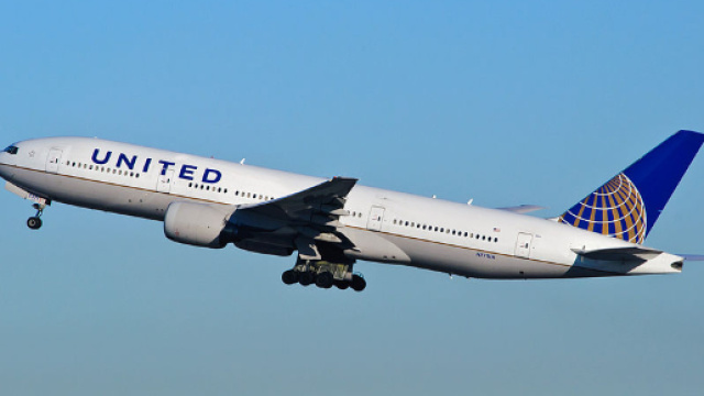 Cane costretto a viaggiare su una cappelliera: muore nel volo di United Airlines