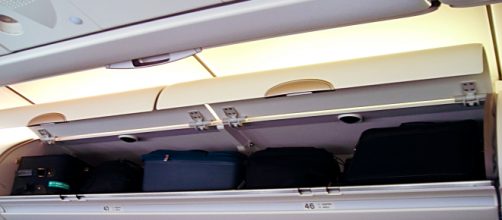 A Bulldog puppy is dead after owner forced by United Airlines to stow him in an overhead locker. Image Credit: By Mattes / Wikimedia Commons