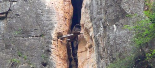 Colgar los ata&uacute;des de los muertos era una costumbre de la gente de Bo que desapareci&oacute; hace mucho tiempo