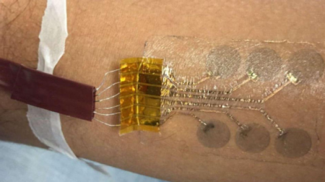 Tatuaggi tecnologici per il monitoraggio dei pazienti: ecco come ... - blastingnews.com