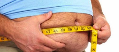 &iquest;Porque he engordado? &iquest;Es lo mismo comer que alimentarse?