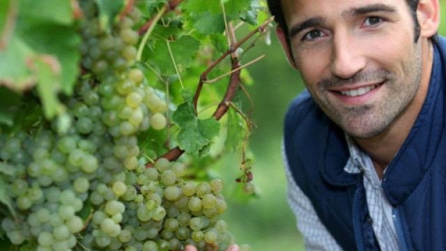 Bioeconomia: sempre pi&ugrave; importante in Italia e in Europa