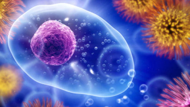 Patologie autoimmuni forse causate da batteri?