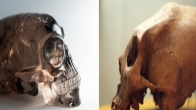 Quale verit&agrave; nascondono i teschi allungati?