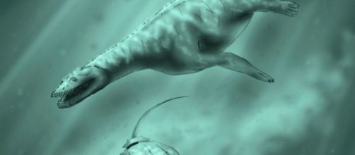 F&oacute;siles que demuestran la vida de los anfibios hace 15 millones de a&ntilde;os