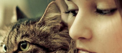 Los investigadores han rastreado el linaje del felino dom&eacute;stico a una antigua especie de gato y algunas civilizaciones