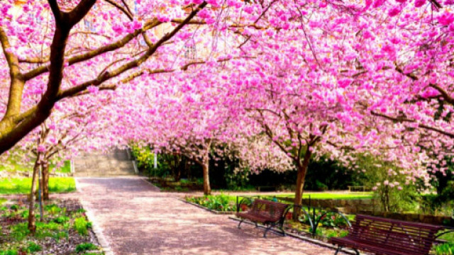 Oroscopo e Astrologia del giorno 21 marzo 2018, previsioni di mercoled&igrave;, giorno di inizio della primavera, per gli ultimi sei segni dello zodiaco