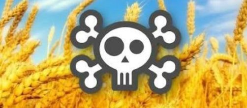 Everyday foods that are deadly. - [Image Credit: Tom Bradley / YouTube Screenshot]