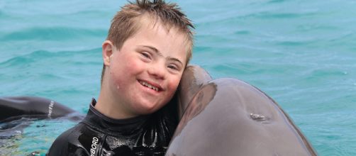 Terapia con delfines muy efectiva