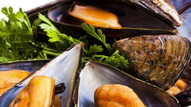 Consumare cozze crude pu&ograve; essere molto pericoloso