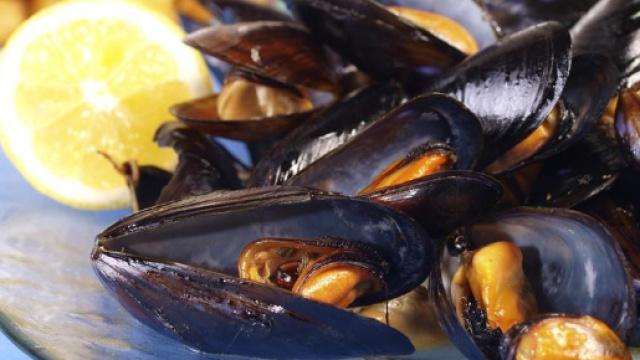 Cozze contaminate: allarme in Italia