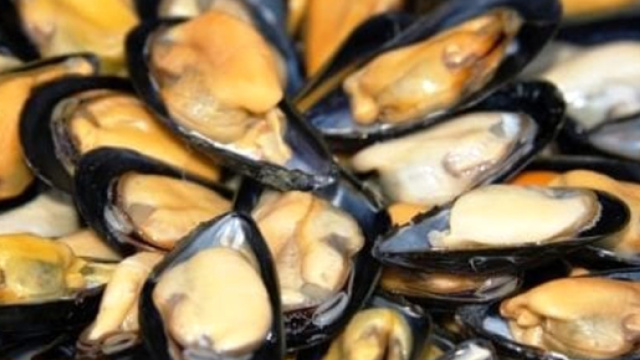 Cozze in arrivo dalla Spagna contaminate: allerta nei supermercati italiani