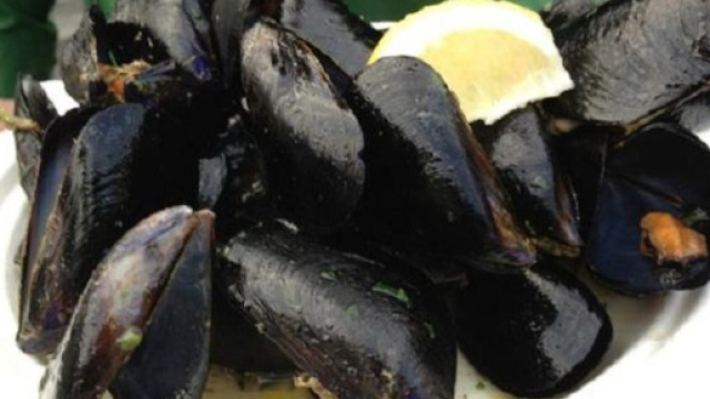 Cozze contaminate: allarme per la presennza di batteri fecali in quelle importate dalla Spagna.