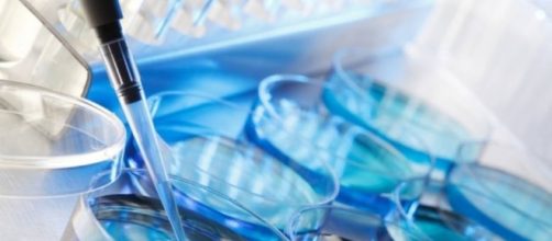 El virus del Zika como herramienta frente al c&aacute;ncer cerebral