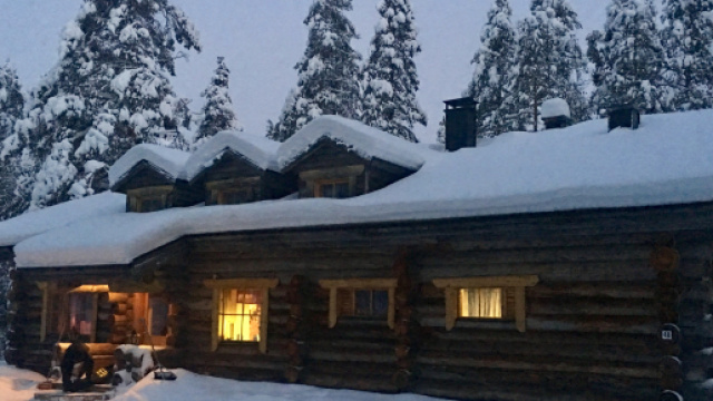 Lapponia Finlandia Cottage costruito con tronchi di alberi morti in piedi