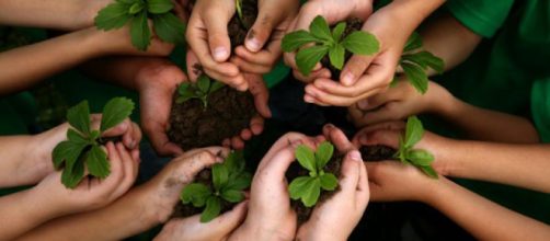 Cuidar el medio ambiente es una tarea de todos. Public Domain.